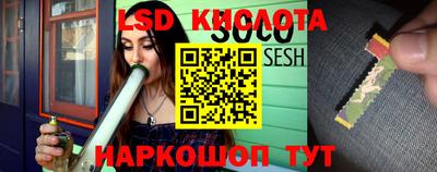 альфа пвп Берёзовский