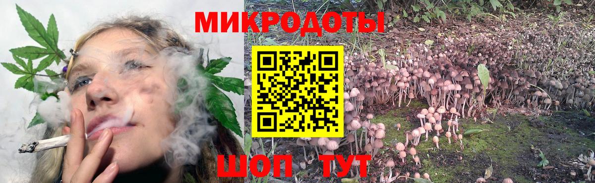 Ковров  Псилоцибиновые грибы Psilocybe  Вход с VPN 