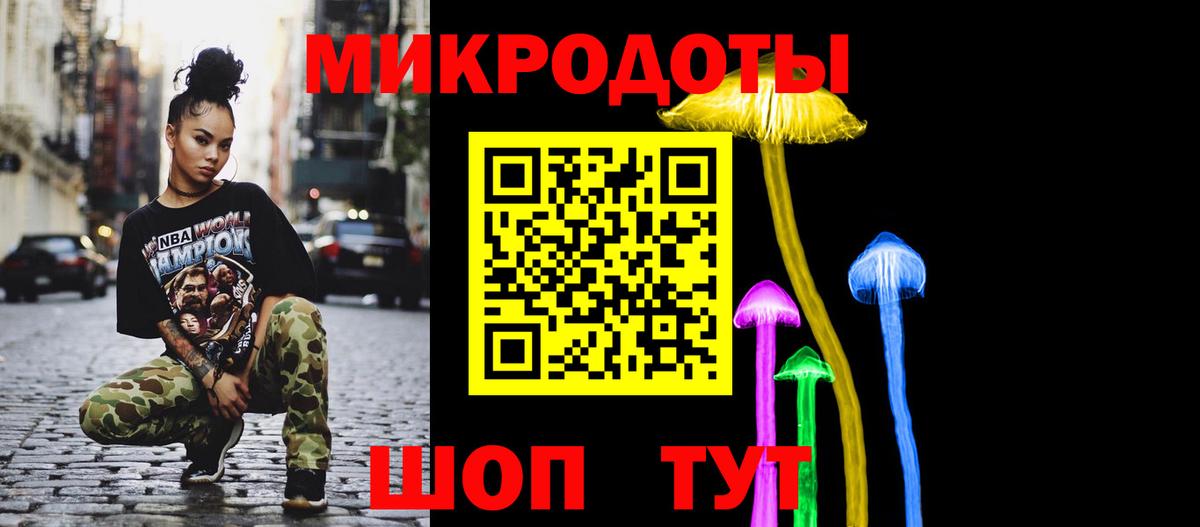 Галлюциногенные грибы Psilocybine cubensis Ковров